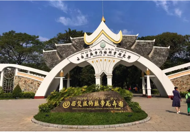 西双版纳热带花卉园