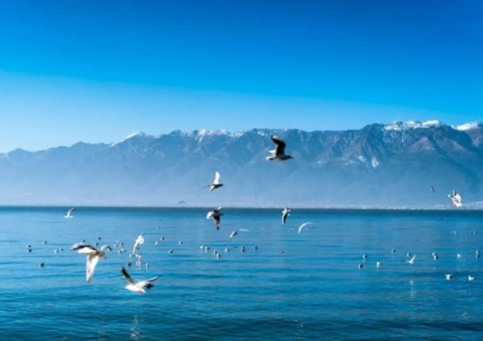 洱海